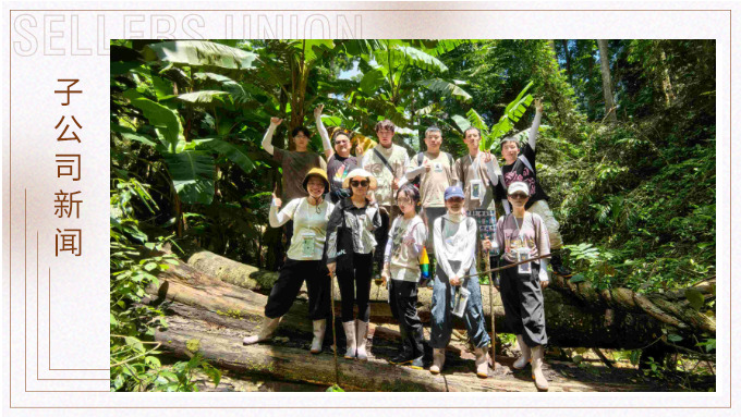 探雨林秘境，與森林同呼吸——記優景公司年中西雙版納團建旅游